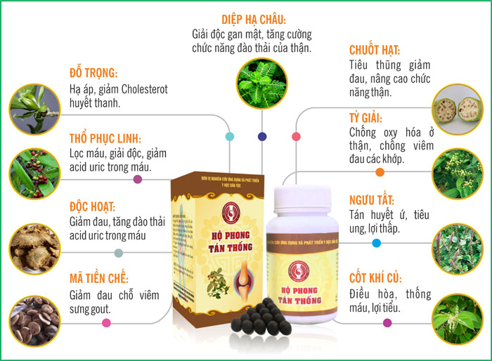 Hộ Phong Tán Thống - Thảo Dược Trị Bệnh Gout