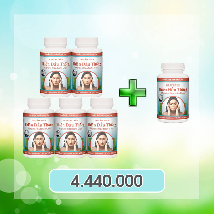 Combo 6 hộp