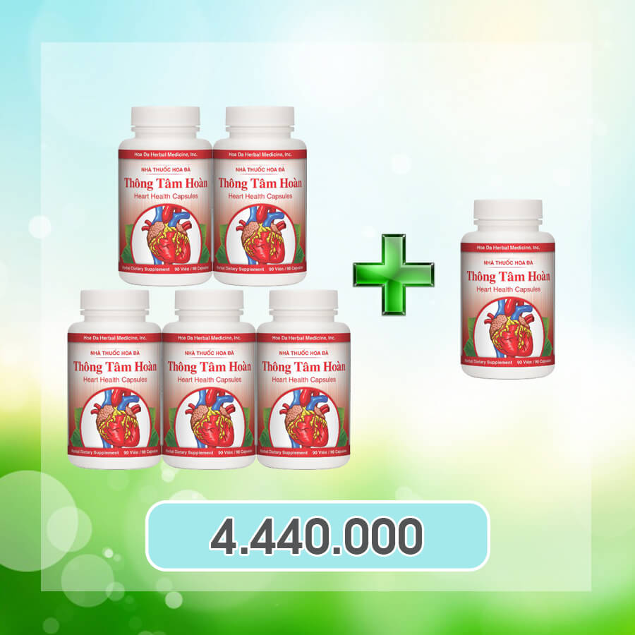 Combo 6 hộp