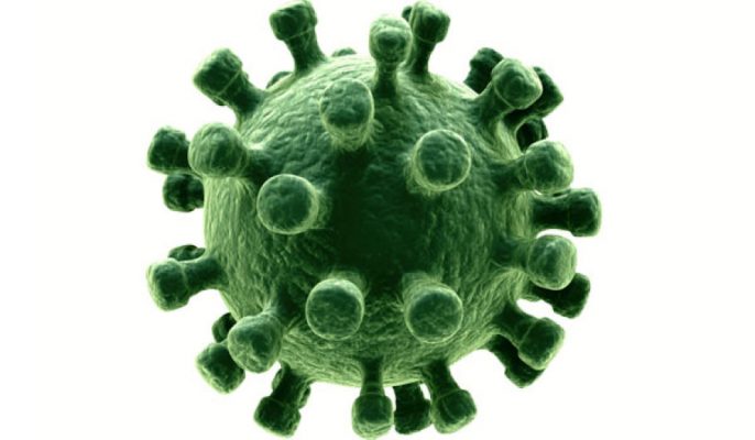 virus dẫn đến viêm họng