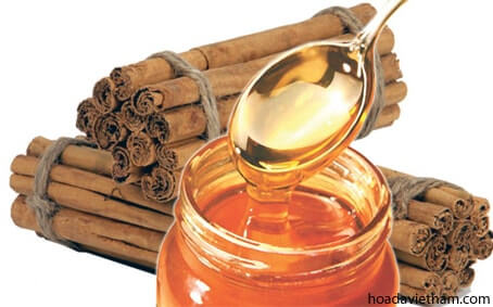 Ngoài mật ong điều trị viêm họng, bạn có mật ong chữa nhiều bệnh? 2