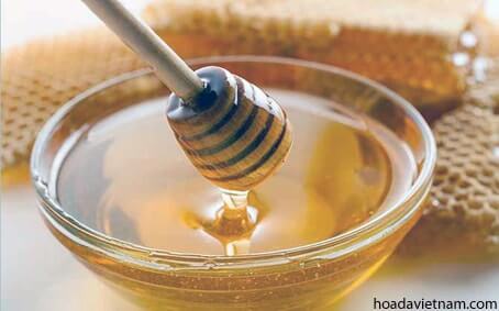 Ngoài mật ong điều trị viêm họng, bạn có mật ong chữa nhiều bệnh? 6