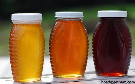 Top 10 loại mật ong diệt trừ viêm họng hiệu quả nhất 3