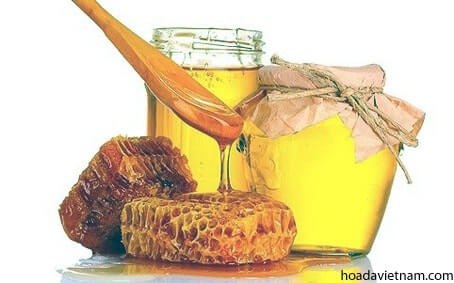 Làm sao biết mật ong chữa viêm họng của bạn đủ tiêu chuẩn? 2