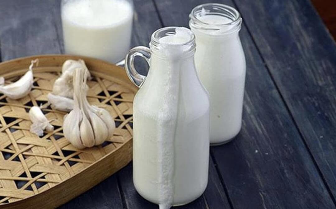 Sữa tỏi là nguyên liệu chữa đau thần kinh tọa được dân gian lưu truyền từ rất lâu 